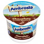 Ambrosia custard choc pots at Tesco (Express in Birmingham)