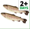 Tesco fish counter whole rainbow trout a kilo