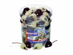 Mouse Toy for Cats (144 pieces) (& more)