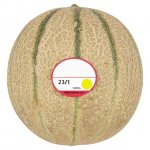 Morrisons Cantaloupe Melon / Galia Melon Whole