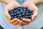Aldi Fresh Blueberries 350g