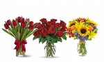 £50 to spend for £10.00 at Flowers Delivery 4 U @ Groupon (Using app/code)