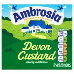 Ambrosia Custard 500g Carton pack