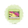 Lots of Yankee Candles and Diffusers - Prices start