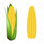 Lidl - Corn on the cob x3