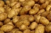 2kg bag of Maris Piper potatoes