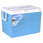 52L Cool box / Ice box &pound;20 @ Tesco Direct (plus &pound;2 c&c)
