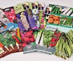 Wyevale Garden Centre packs of veg and flower seeds instore