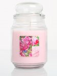 Large candle jars then BOGOF plus code each clintons