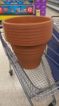 Large plastic planters