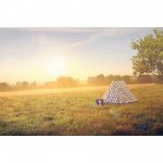 Orla Kiely A Frame 2 Person Tent at Halfords - C&C