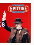 Shepherd Neame Spitfire Ale 8x500ml