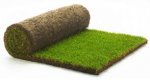 Rolls of Turf