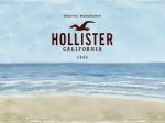 Hollister Sale upto 60% PLUS upto 20% Off using code, Free delivery and returns! 