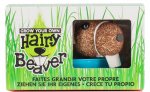 Gift Grow Your Own Hairy Beaver Kit Sold by Findmeagift