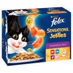 Felix sensations cat food pouches x8 Tesco, Online and instore, four varieties