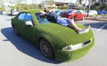 Rolls of turf - B & M Minworth