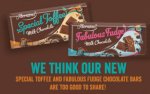 Thorntons 100g Fabulous Fudge//Special Toffee Chocolate