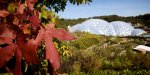 Community Weekends: free entry for Cornwall and Devon