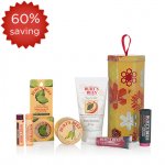 Burts Bees Spring Essentials Bundle worth £60 or free over £29 - £17.25