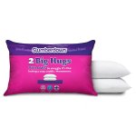 Pack of 2 Slumberdown Big Hugs Pillows Add on item