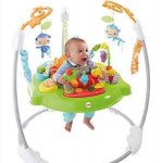 Fisher price jumperoo