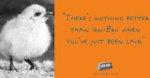 2 x 2ltrs Irn Bru
