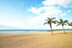 Cheap flights to Gran Canaria and Lanzarote from London for £40.00 return! @ Ryanair