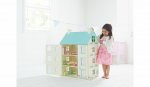 Beautiful Dolls house