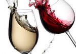 Sainsbury's wine offer is back