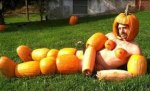 Morrisons is to launch pumpkin carving classes this week (Thursday & Friday Mornings)