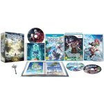 Rodea the Sky Soldier: Limited Edition (inc. Wii Version) (Nintendo Wii U) @ Nintendo Store (Use code 'BOO5')