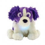 Russell the dream sheep dog