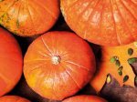 Lidl flogging pumpkins