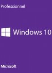 Windows 10 Pro (OEM Global Key)