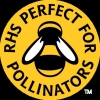 Summer flowering bulbs inc. Bee Friendly varieties